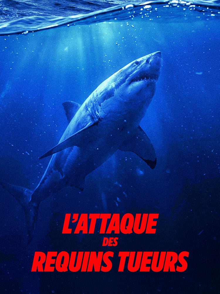 L'attaque des requins tueurs