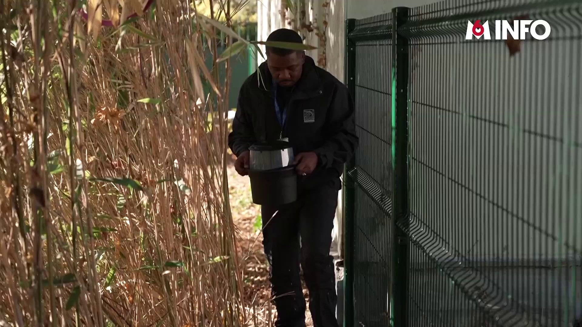 Virus du Nil : Hausse du nombre des cas autochtones dans l'Hexagone