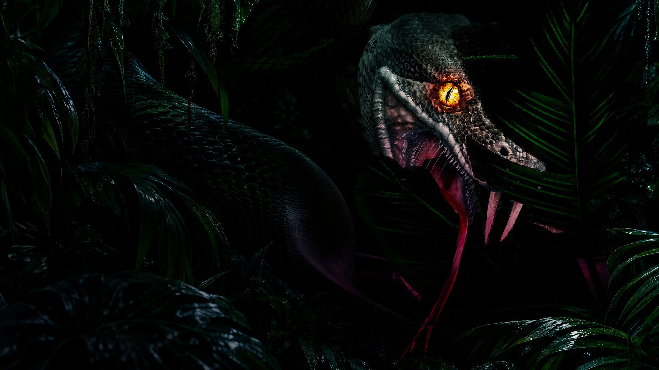 Megaboa