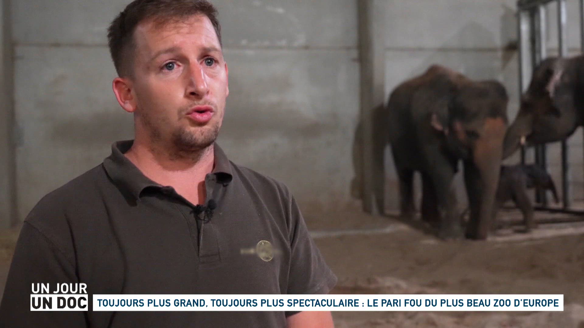 Toujours plus grand, toujours plus spectaculaire : le pari fou du plus beau zoo d’Europe (2/2)