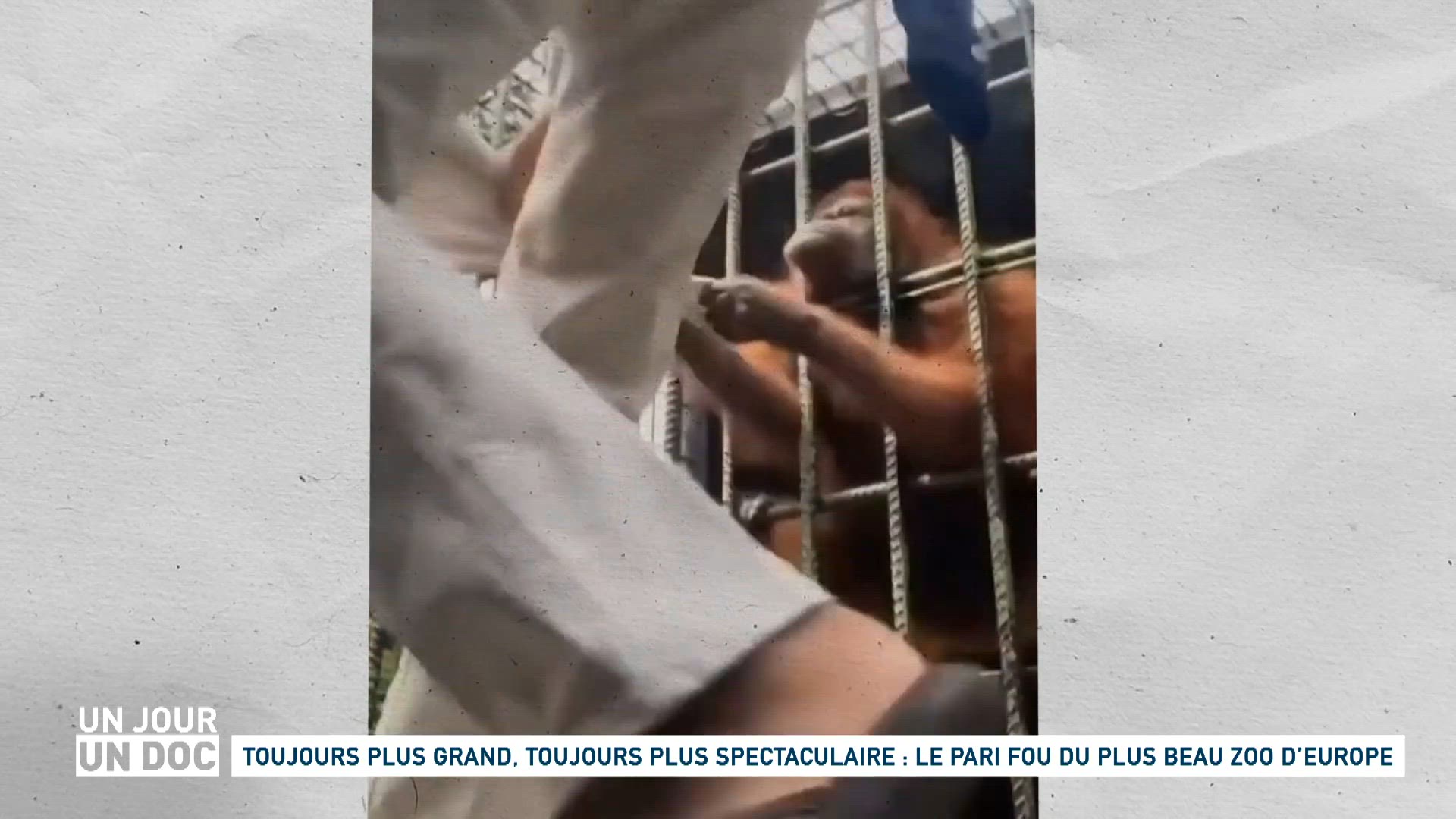 Toujours plus grand, toujours plus spectaculaire : le pari fou du plus beau zoo d’Europe (1/2)