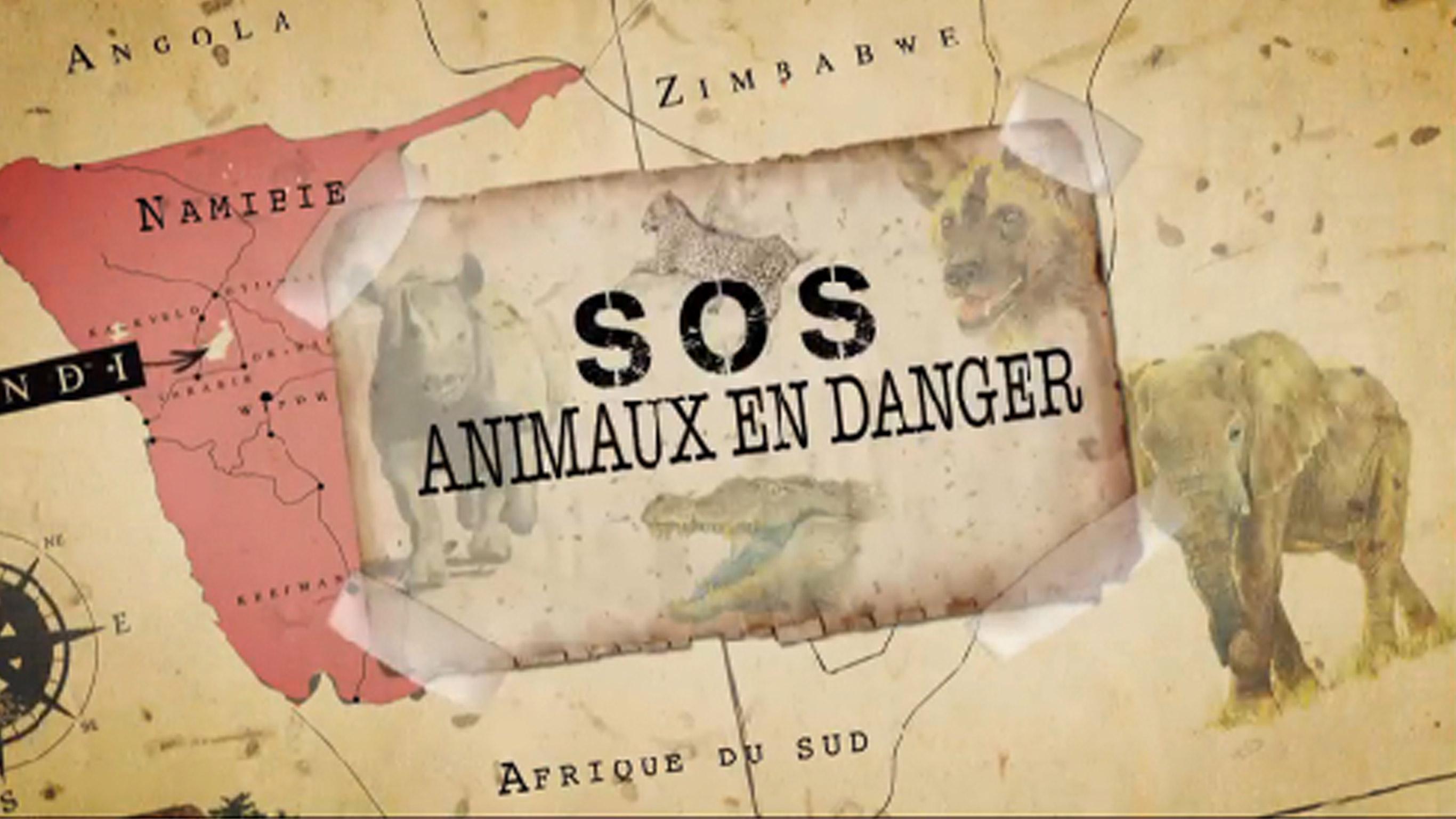 SOS animaux en danger