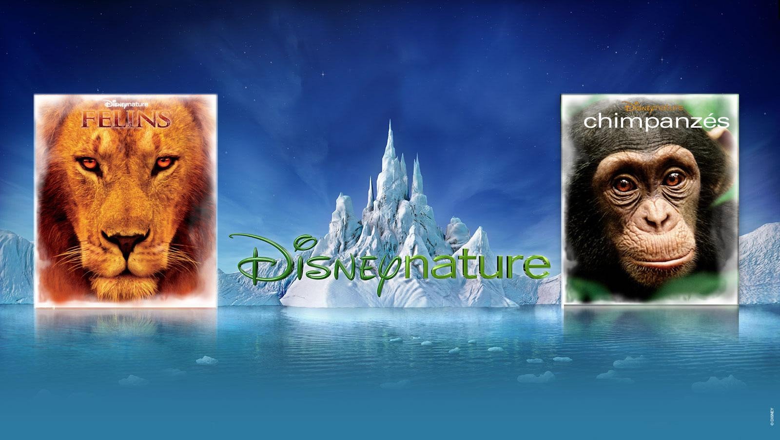 Dans Les Coulisses De Disneynature Sur M6+ : Voir Les épisodes En Streaming