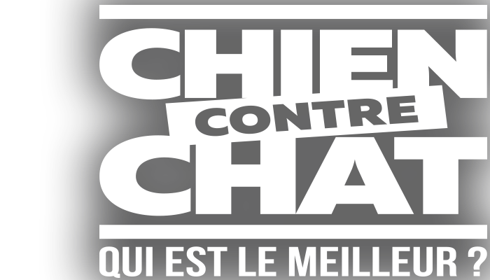 Chien contre chat : qui est le meilleur ?