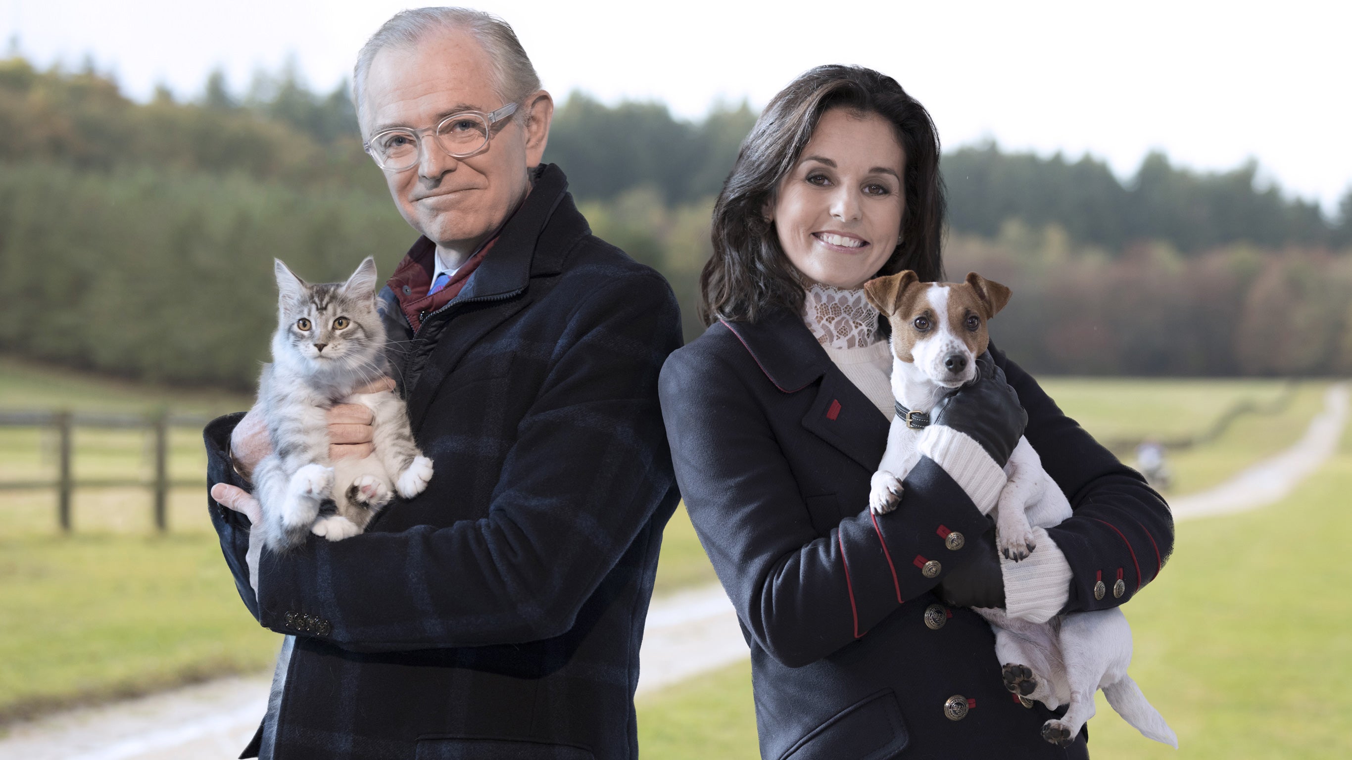 Chien contre chat : qui est le meilleur ?