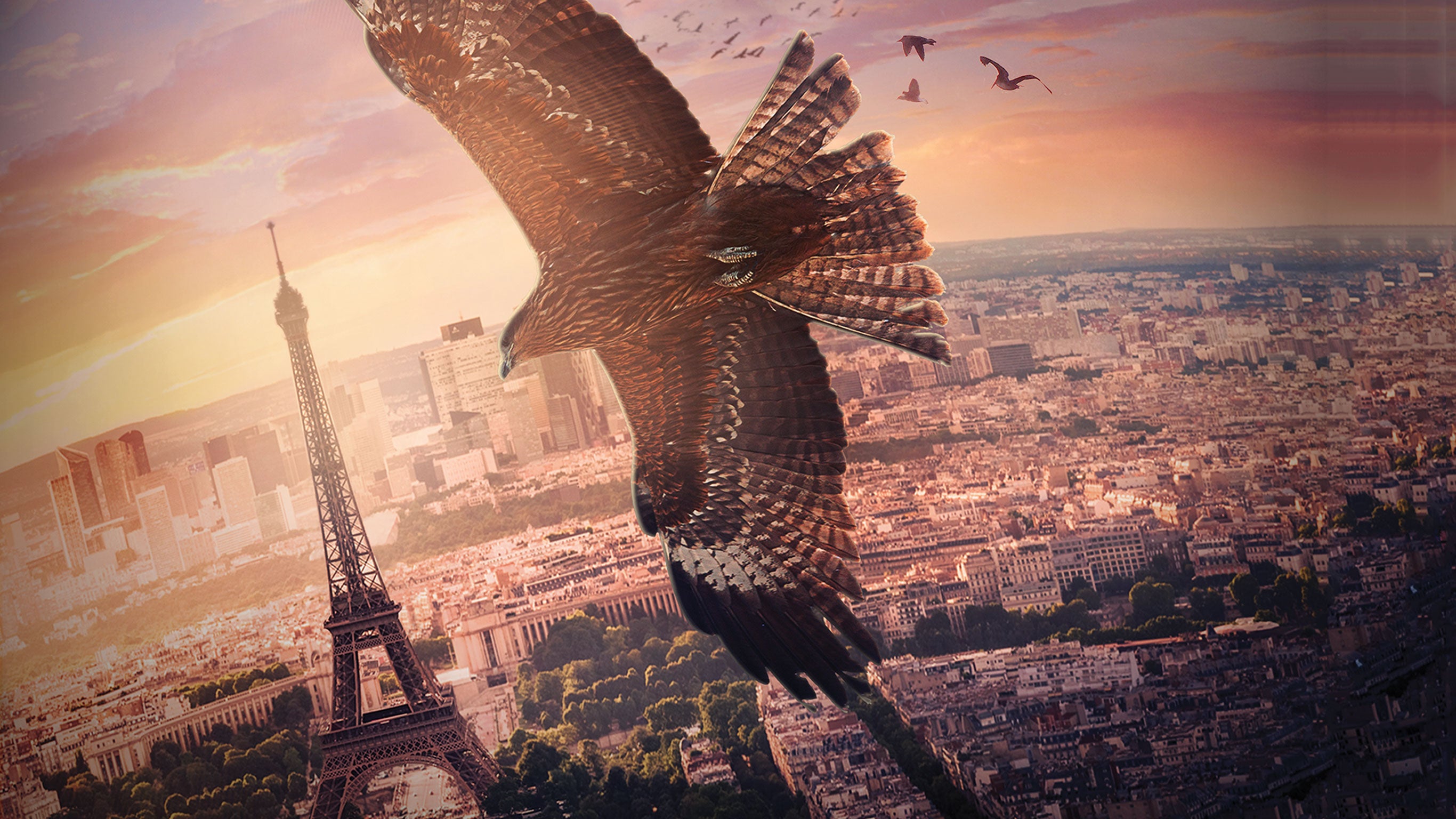 La plus belle ville du monde